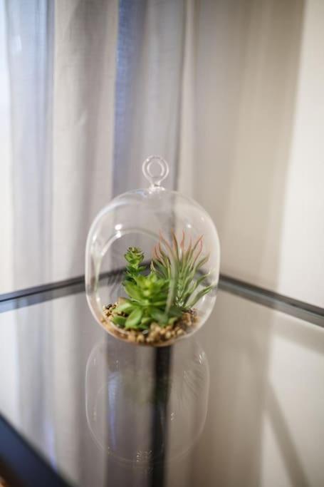 Cozy Apartement Soluň Exteriér fotografie